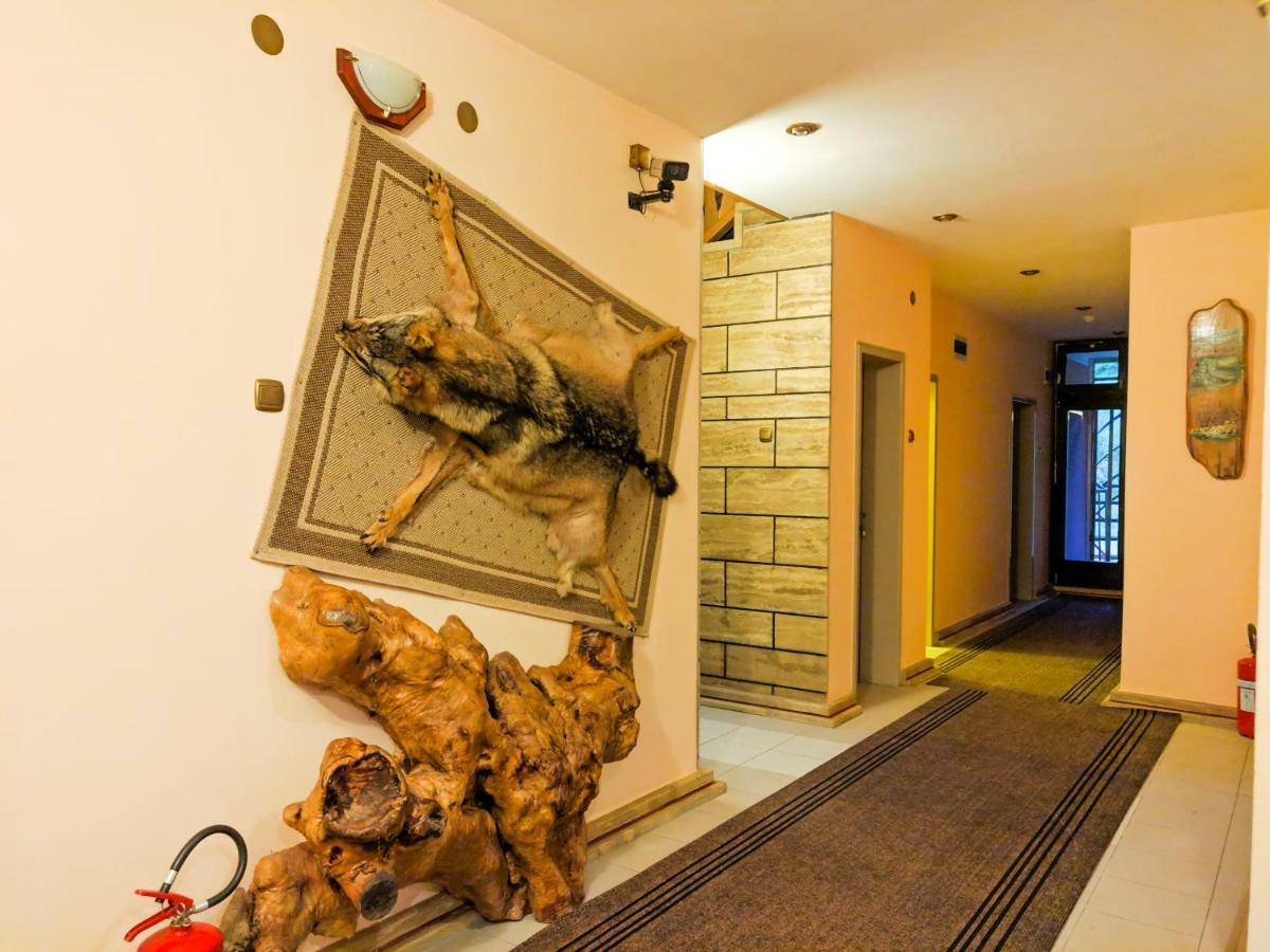 Motel Stecak Jajce Bagian luar foto